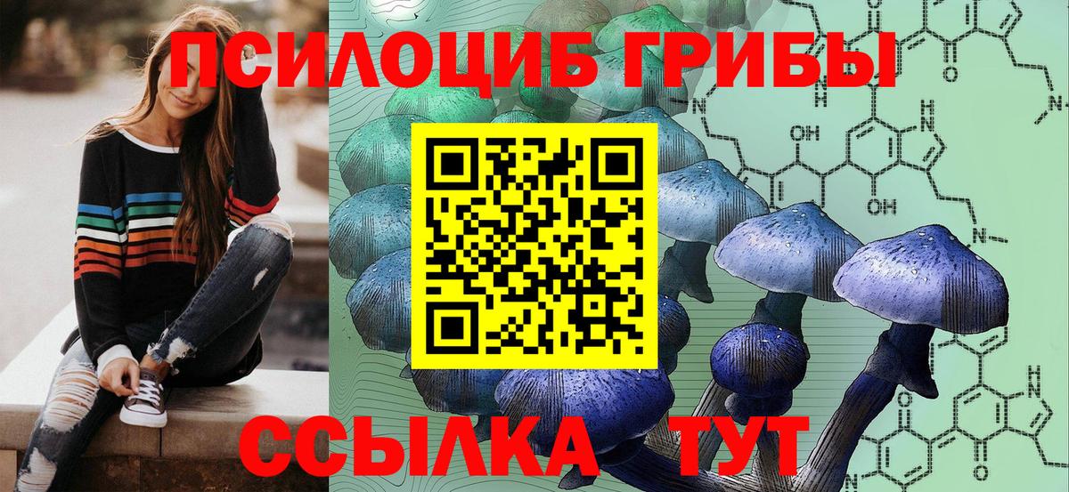 Псилоцибиновые грибы Magic Shrooms  Вход с VPN  Братск 